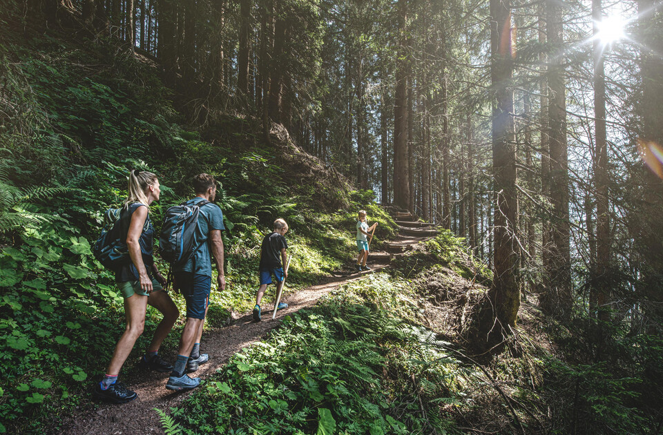 Wandern
