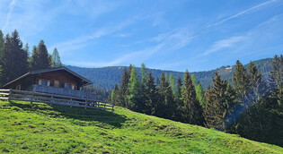 Bergmannsegg Alm Leogang | © Team Almliesl