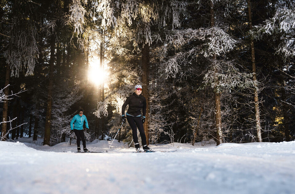 Gerling Loipe | © Michael Geißler