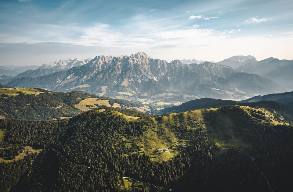 Sommerlandschaft