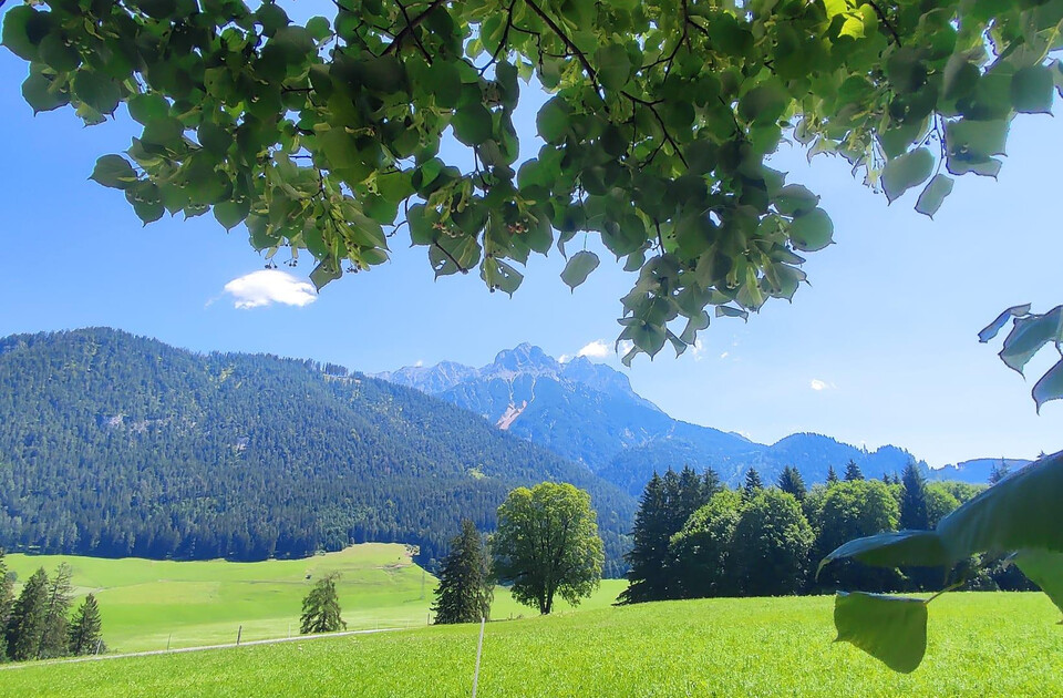 Natur