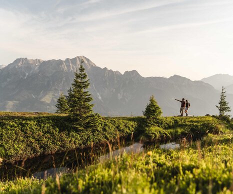 Hiking without luggage - Saalachtal Tour