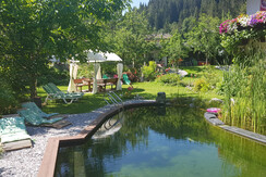 Schwimmteich Schwimmteich
