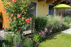 Terrasse Terrasse