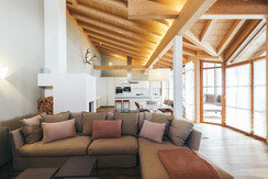 Penthouse - living area