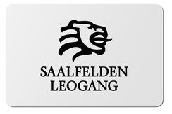 Logo Saalfelden Leogang Card Logo Saalfelden Leogang Card
