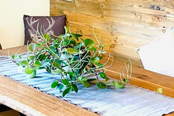 IMG_20210813_112034 IMG_20210813_112034