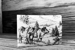 IMG_20220118_130158 IMG_20220118_130158