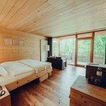 Bild von Forest Room