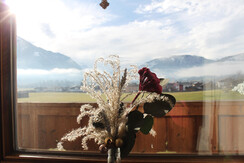 IMG_3256 IMG_3256