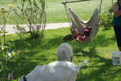 DSC00717Josef in Hängesessel