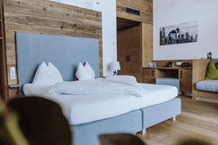 Zimmerbilder Saalfelden Leogang (18)