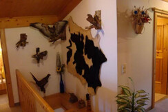 Screenshot 2023-03-15 141754