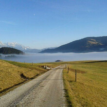 bauernhofurlaub-leogang-00012