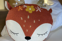 IMG_20220118_120551 IMG_20220118_120551