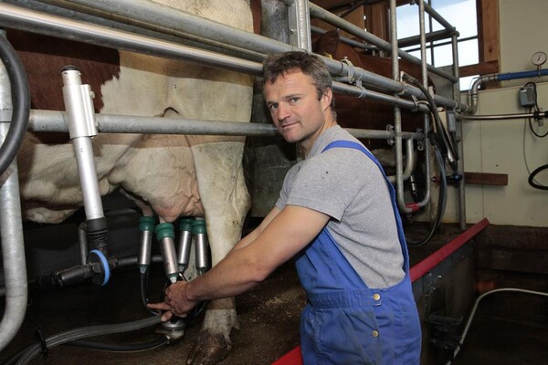 Bauer Hans beim Melken