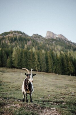 image00502