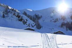 Winter Winter