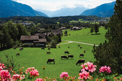 s260901_Appartements-074
