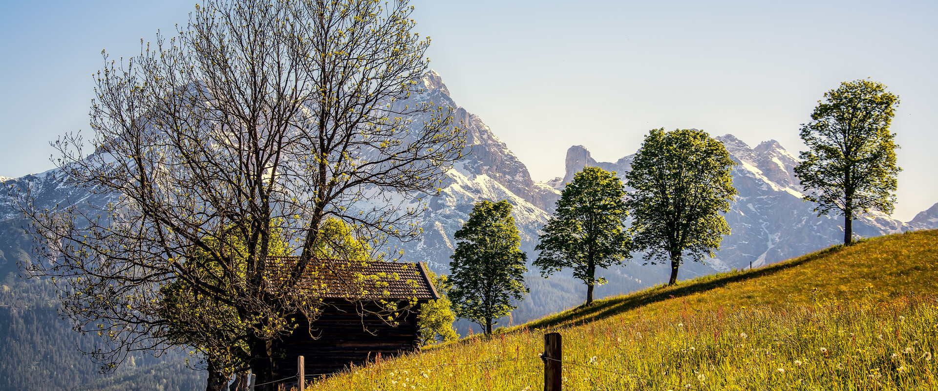 Herbst in der Wanderregion Saalfelden Leogang | © Peter Kuhnl