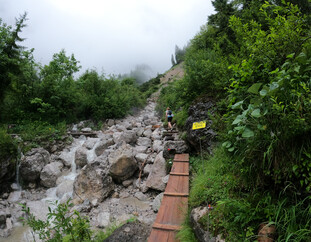 wandern mit Hund in Saalfelden Leogang | © Lena Schindler