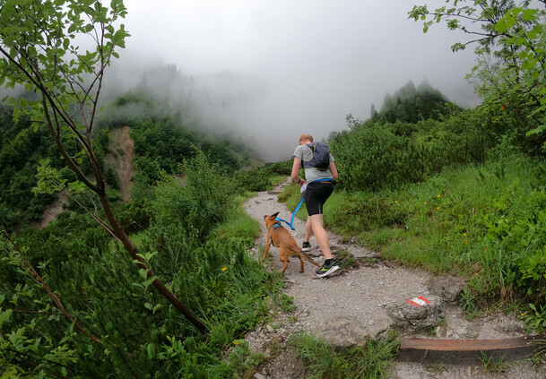 Trailrunning mit Hund | © Lena Schindler Wandern mit Hund in Saalfelden Leogang | © Lena Schindler