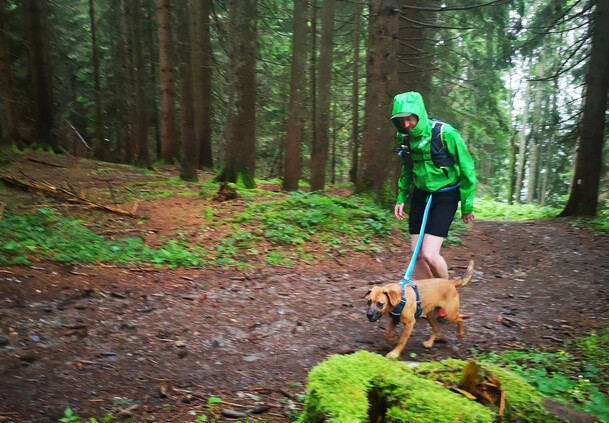 wandern mit Hund | © Lena Schindler wandern mit Hund | © Lena Schindler