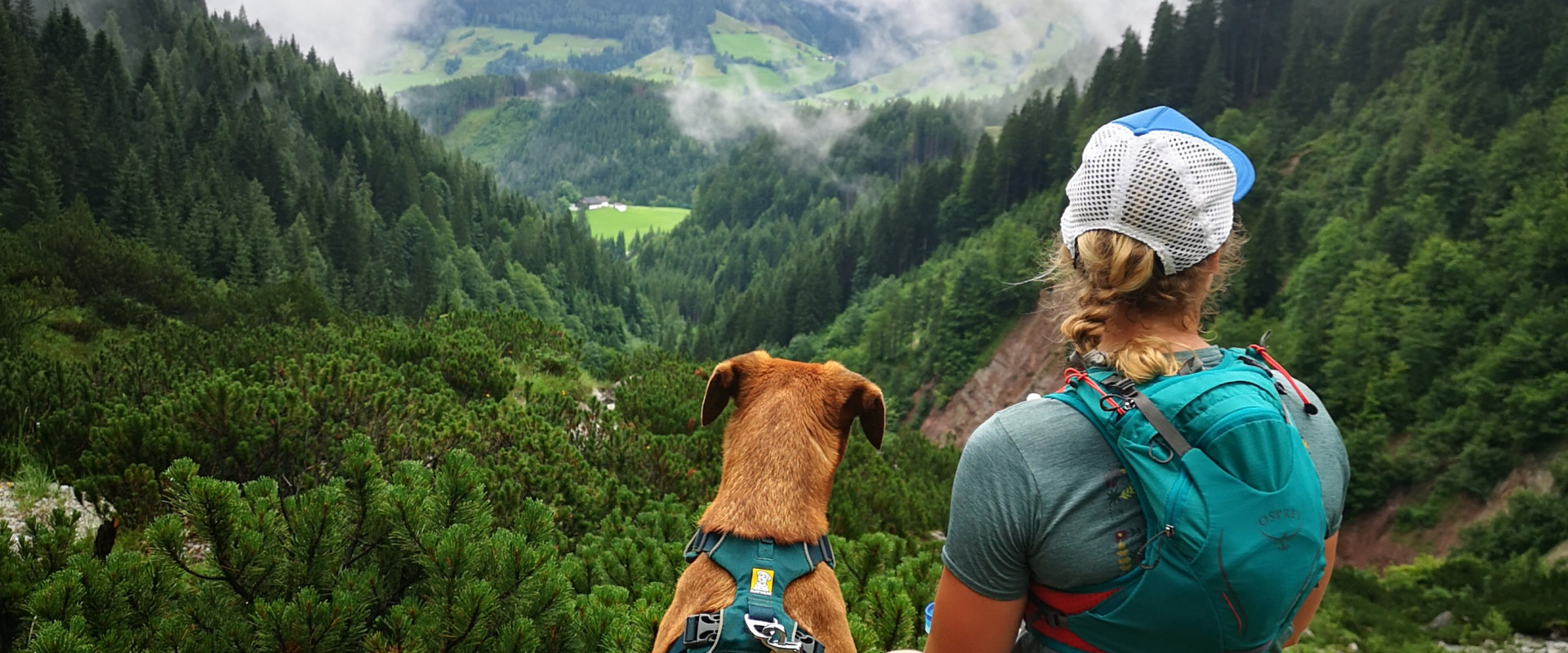 Wandern mit Hund in Saalfelden Leogang | © Lena Schindler