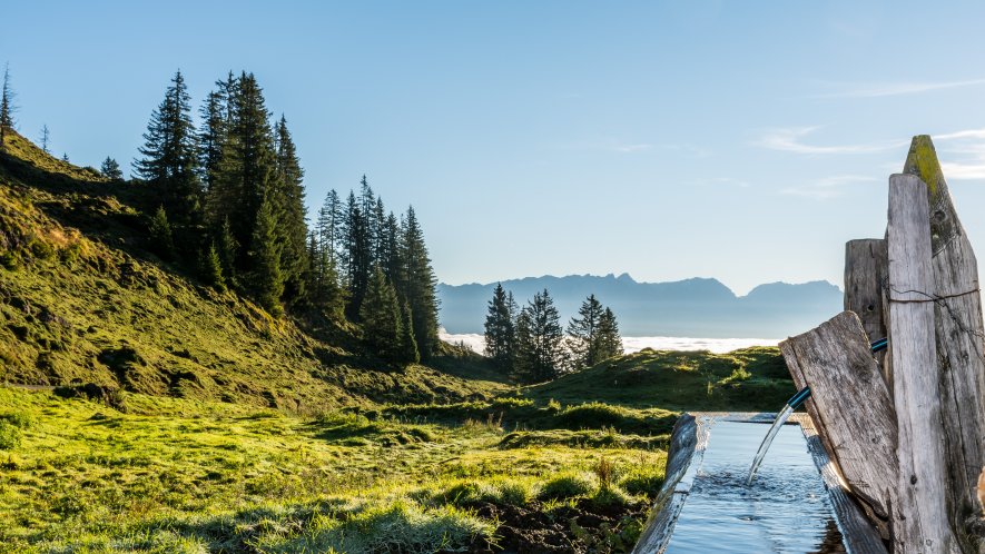 Sommerlandschaft in Saalfelden Leogang | © Peter Kühnl