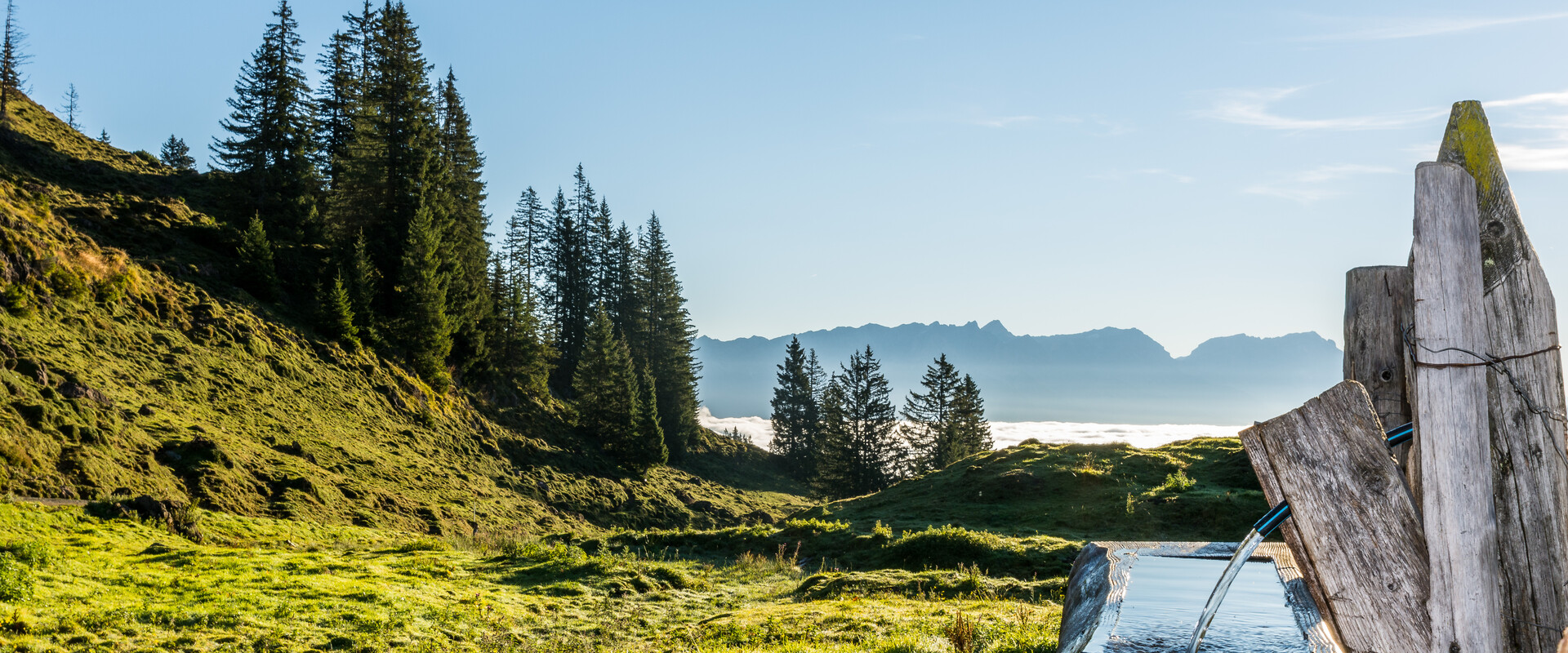 Sommerlandschaft in Saalfelden Leogang | © Peter Kühnl