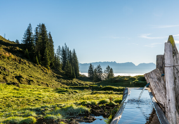 Sommer in Saalfelden Leogang | © Peter Kühnl Sommerlandschaft in Saalfelden Leogang | © Peter Kühnl