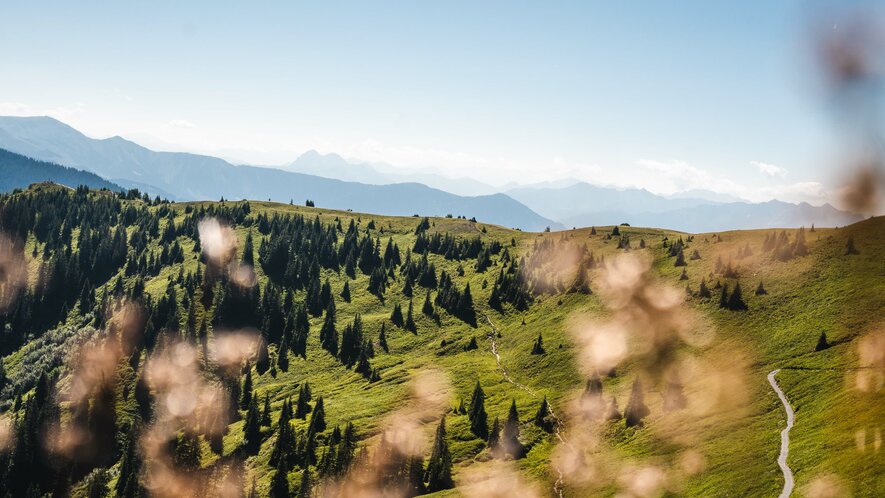 Aussicht vom Saalachtaler Höhenweg in Saalfelden Leogang