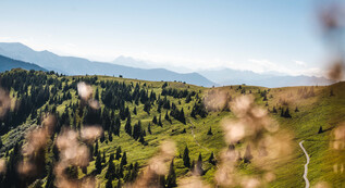 View from Saalachtaler Höhenweg in Saalfelden Leogang