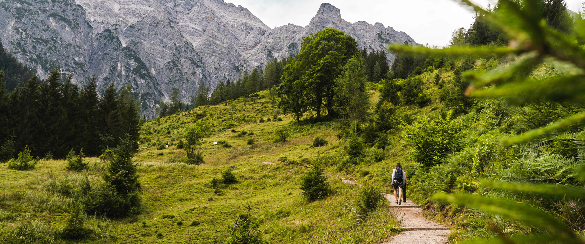 Wanderweg in Saalfelden Leogang | © Michael Geißler