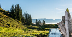 Fountain in the mountains with fresh  | © Peter Kühnl