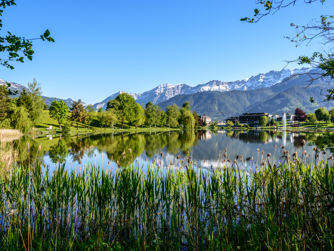 Summer landscape in Saalfelden-Leogang