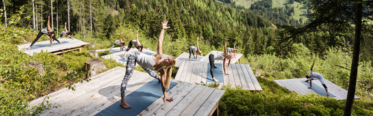 Gruppe beim Yoga im Wald in Saalfelden-Leogang